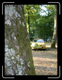 minininou Montargis 2006 (27) * 960 x 1280 * (247KB)